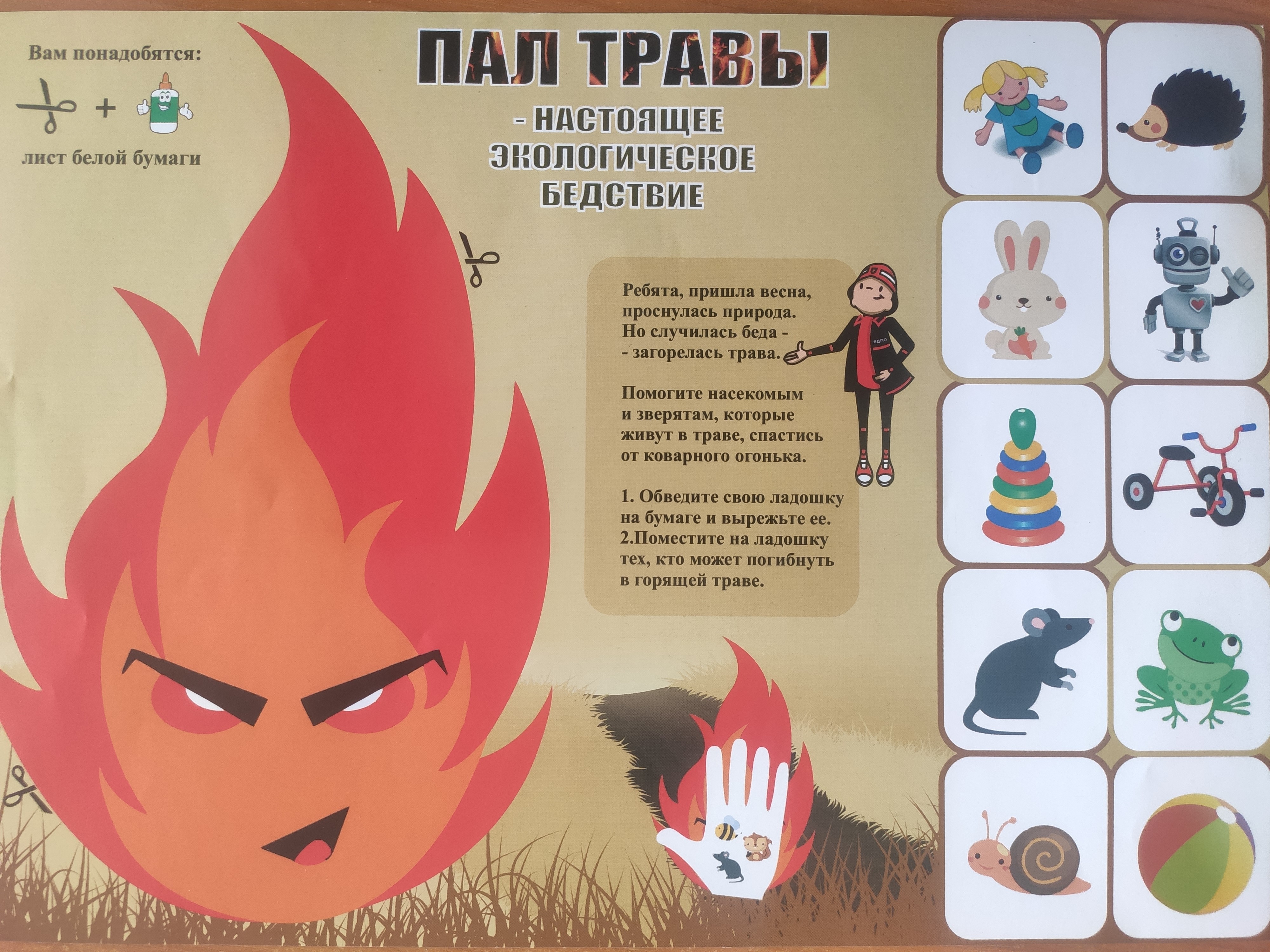 Изображения.